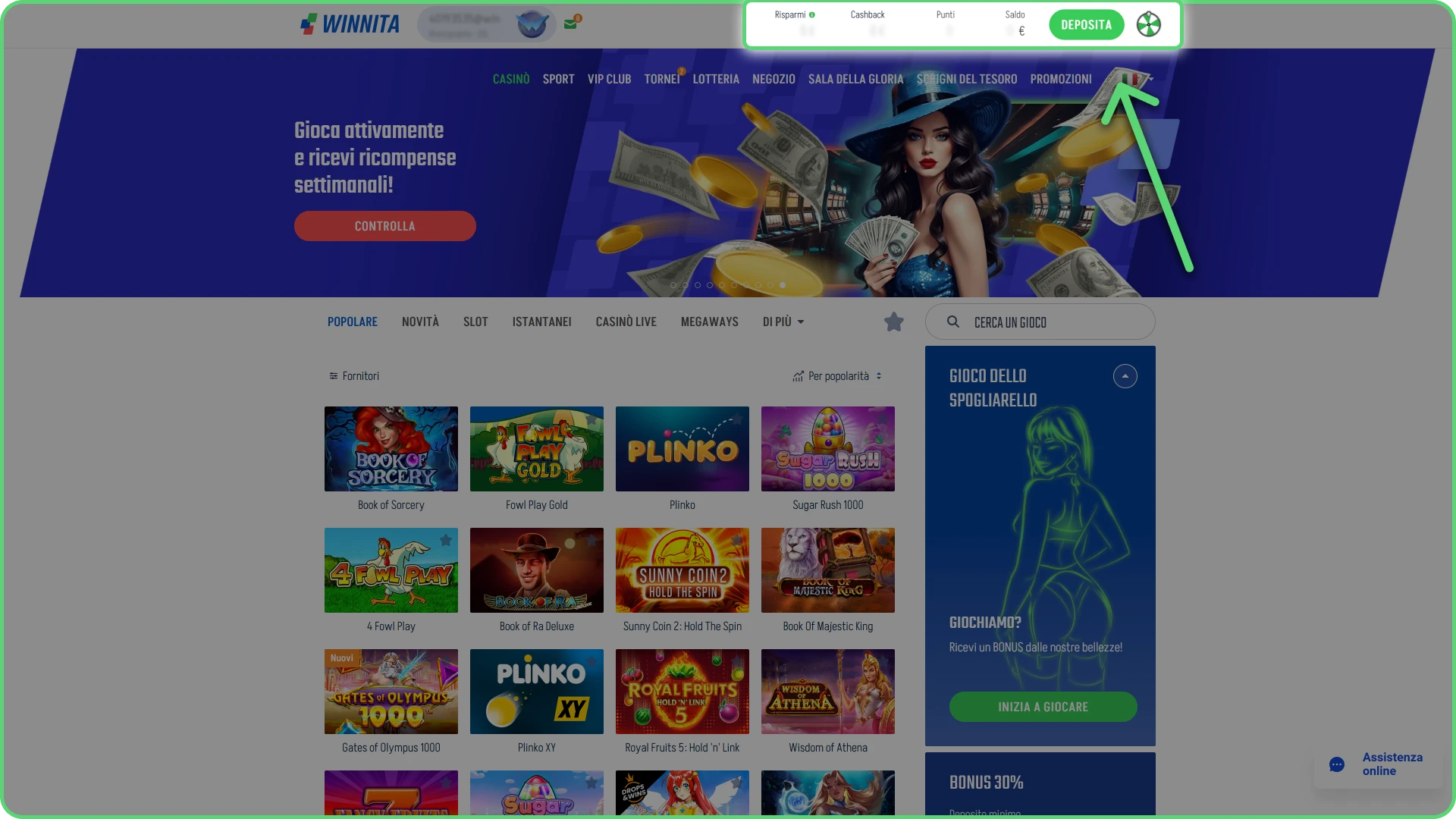 Apri la sezione cassa per gestire i fondi sul sito Winnita.
